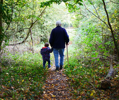 Older man walking with stick, holding toddlers hand as they walk along a country path